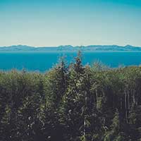 免费ddos平台攻击