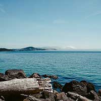 ddos在线攻击工具