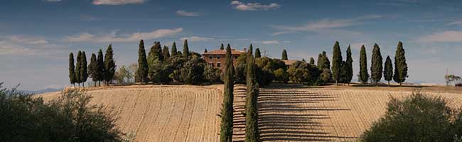 免费cc攻击测试