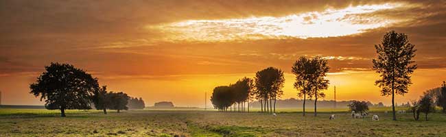 免费商业版的DDOS攻击平台