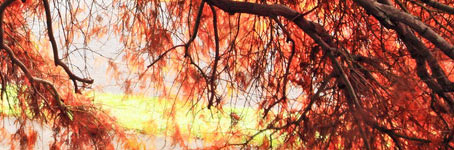 ddos在线攻击平台