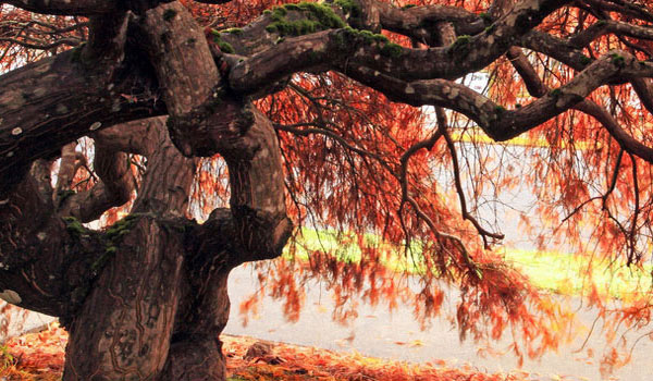 DDOS压力测试网页端